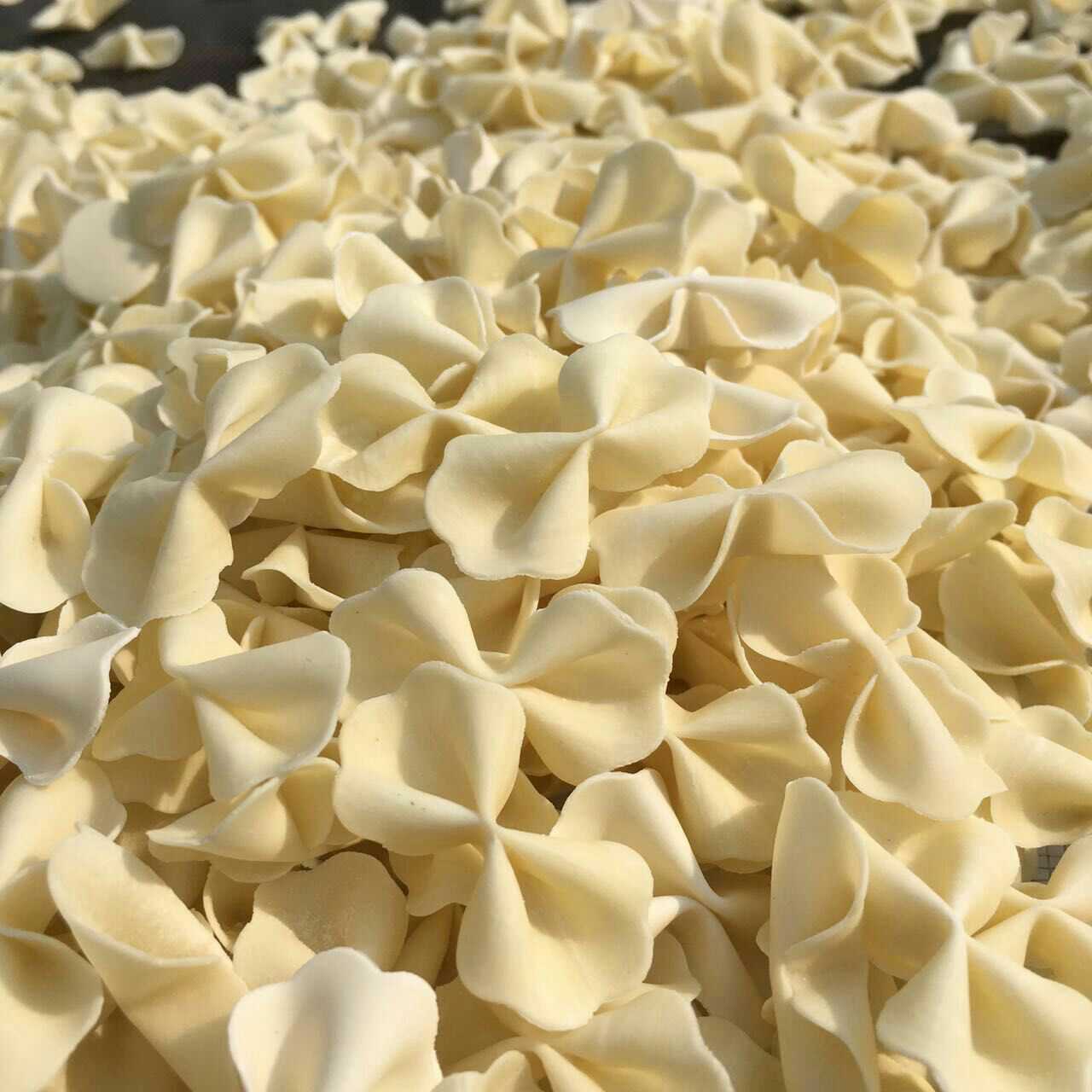 Farfalle noodle making machine 