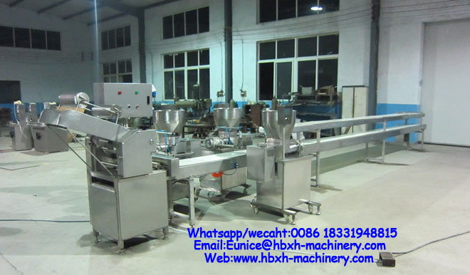 Spring rolls production line Spring rolls production line