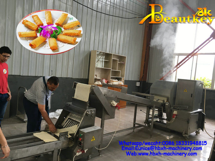 Spring rolls skin machine Spring rolls skin machine